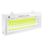 ������������ ����� PROPECS Light DS 36